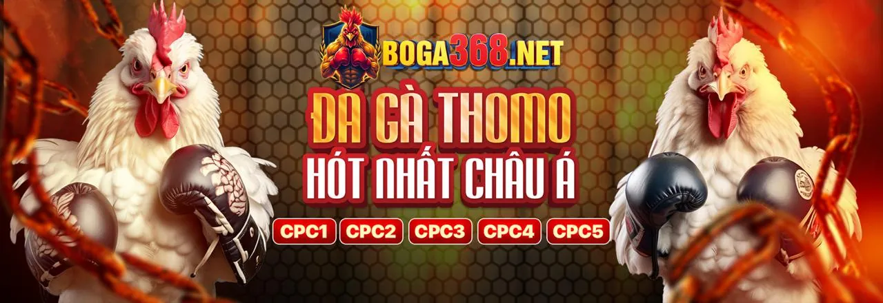 Hình ảnh tối ưu hóa trải nghiệm với mã win79